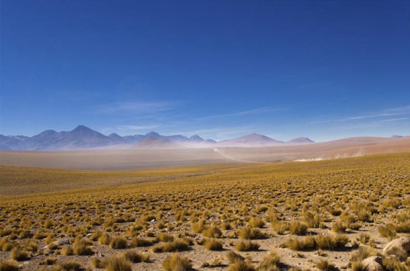 Vegas de Putana, San Pedro de Atacama, Antofagasta...
