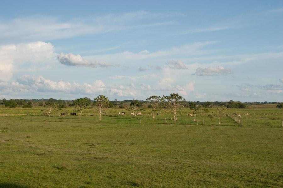 Paisaje en Montelibano, Corboba, Colombia