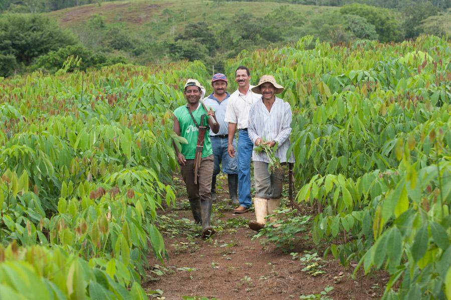 Campesino 