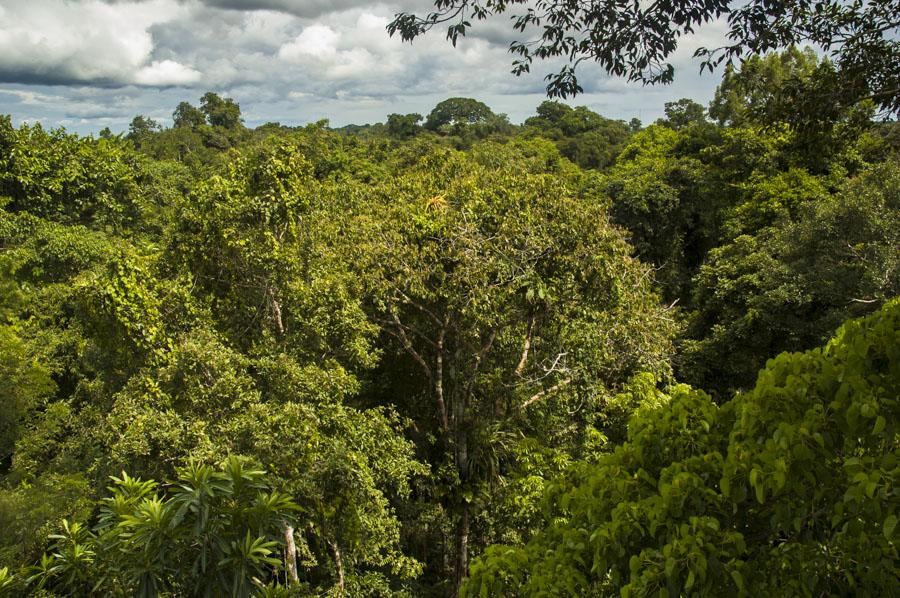 Paisaje Amazonas, Colombia