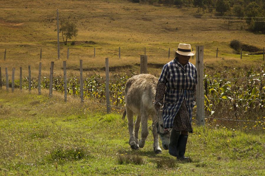 Campesina Boyaca, Colombia