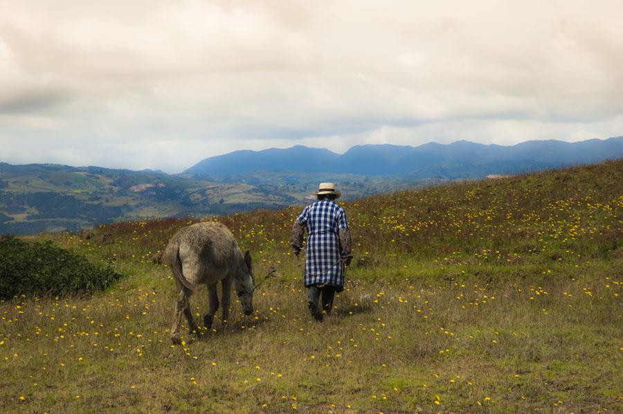 Campesina Boyaca, Colombia