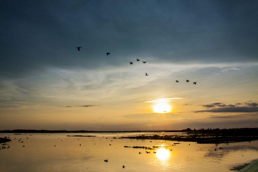 Atardecer Cienaga de Zapatosa, Cesar, Colombia