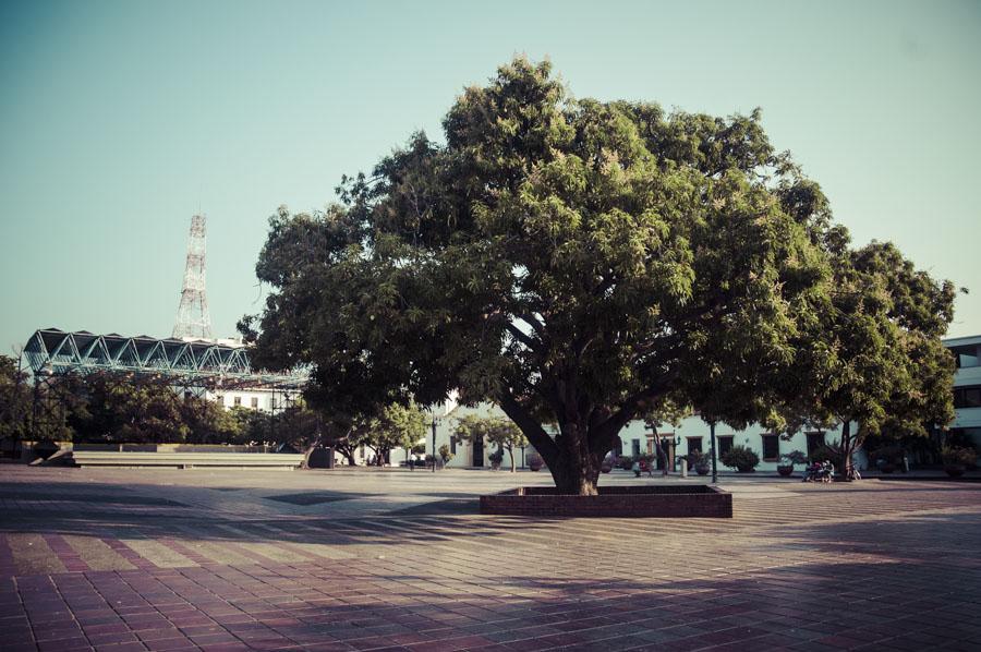 Plaza Alfonso Lopez Pumarejo, Valledupar, Cesar, C...