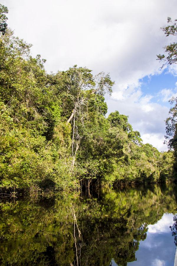 Paisaje Mitu, Vaupes, Colombia