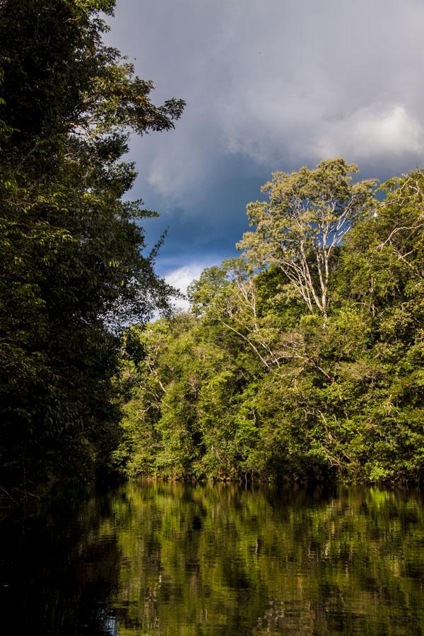 Paisaje Mitu, Vaupes, Colombia