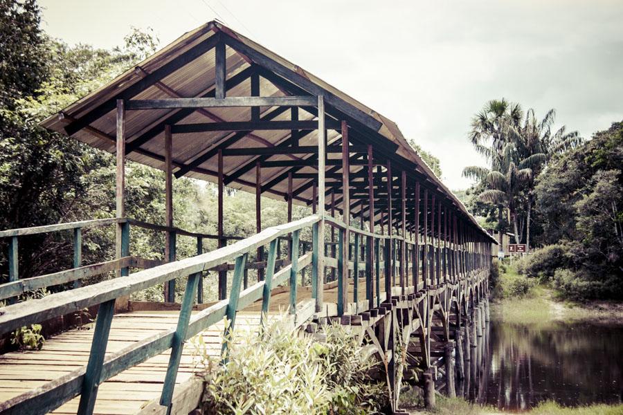 Puende de Madera, Mitu, Vaupes, Colombia