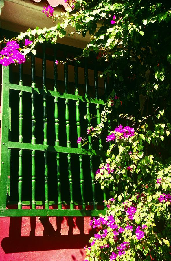 Ventana con Flores de una Fachada Colonial en Cart...