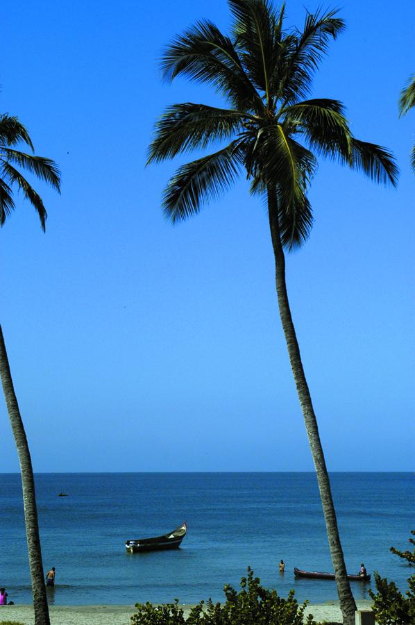 Palmera en el Mar, Cartagena, Bolivar, Colombia