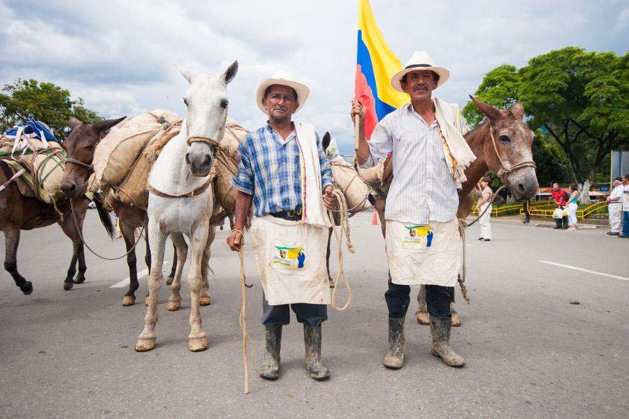 Arrierros con la Bandera de Colombia y Mulas Carga...