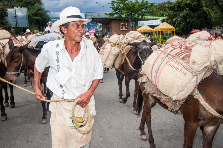 Arriero con Mulas en Antioquia, Colombia