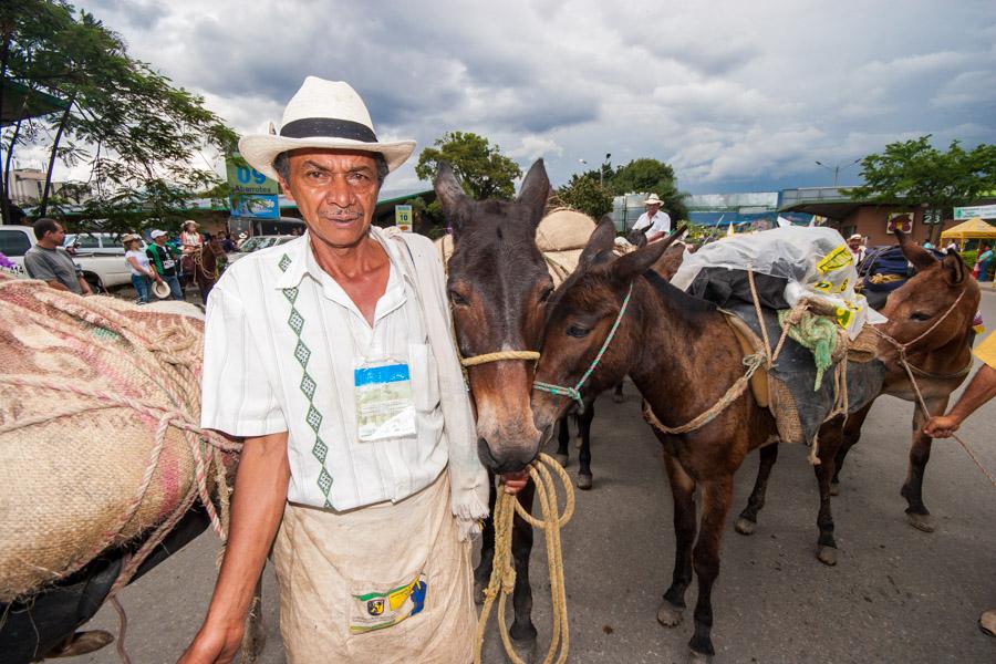 Arriero con Mulas en Antioquia, Colombia