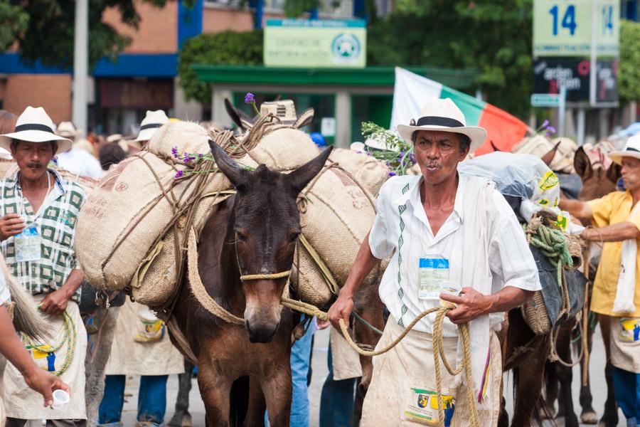 Arriero con Mulas en Antioquia, Colombia