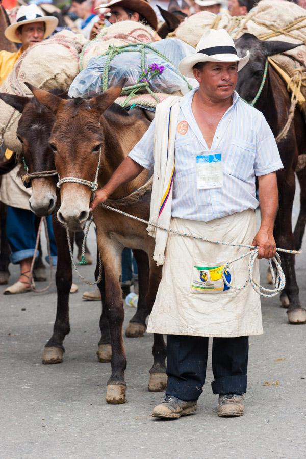 Arriero con Mulas en Antioquia, Colombia