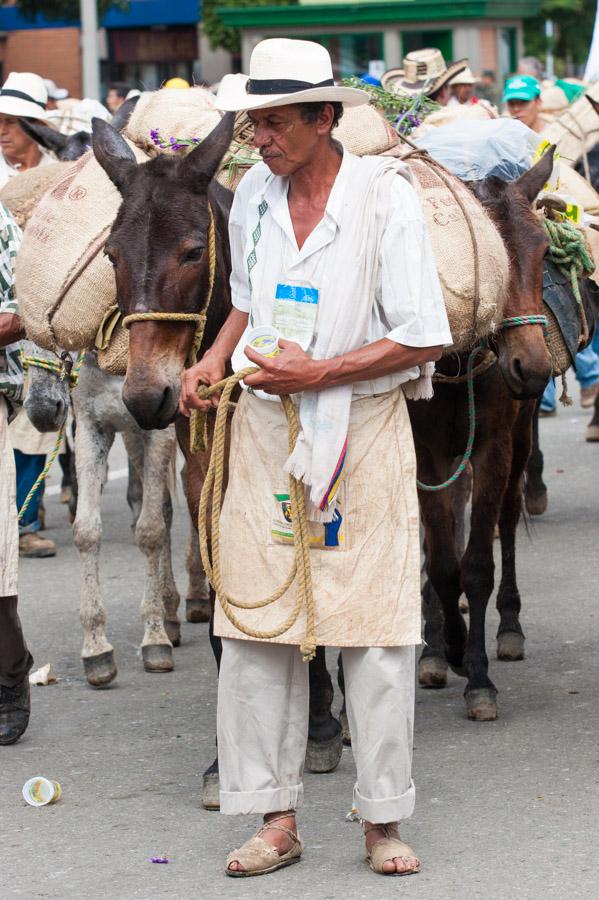 Arriero con Mulas en Antioquia, Colombia