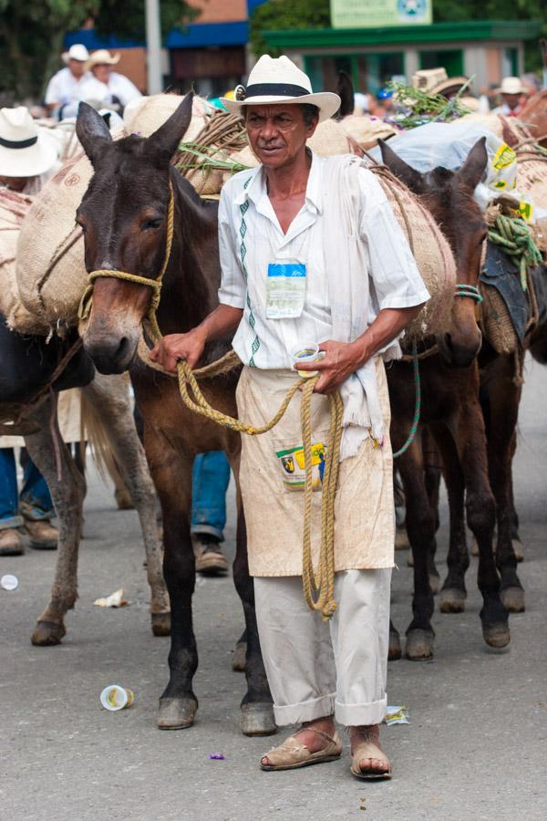 Arriero con Mulas en Antioquia, Colombia