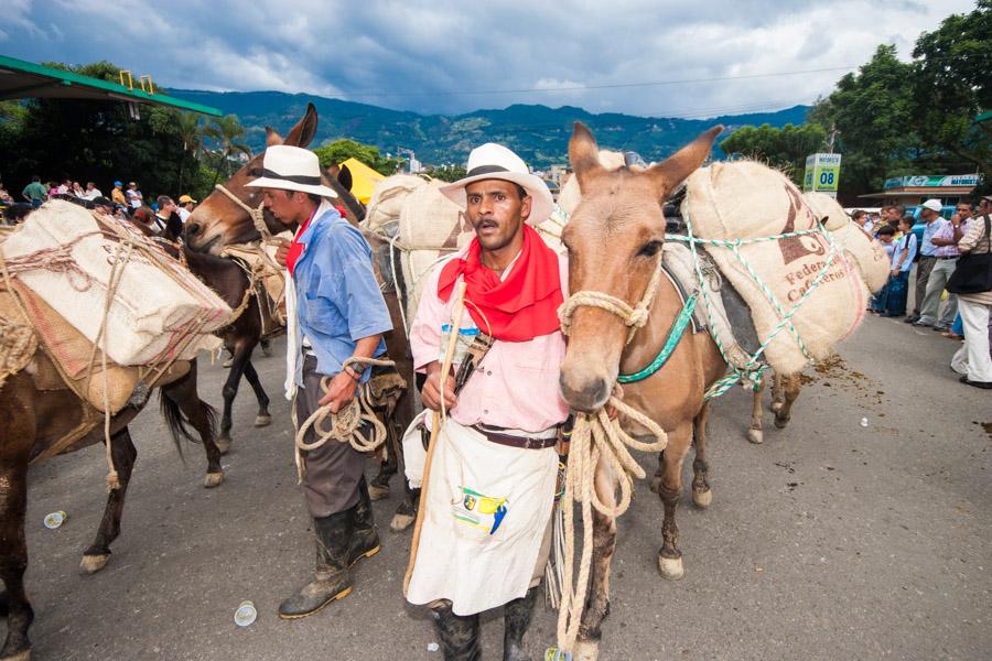 Arrieros con Mulas en Antioquia, Colombia