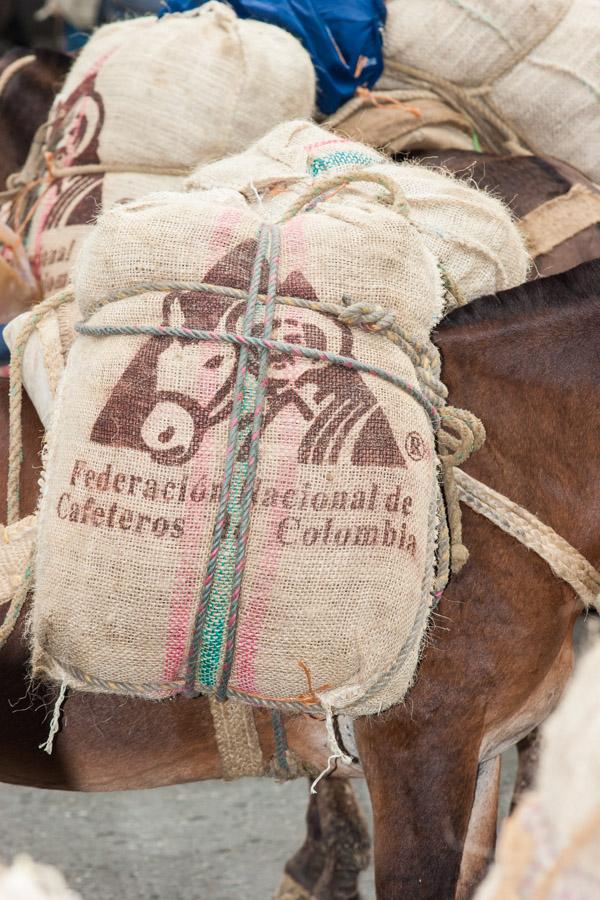 Bultos, Detalle de una Carga Sobre el Lomo de una ...