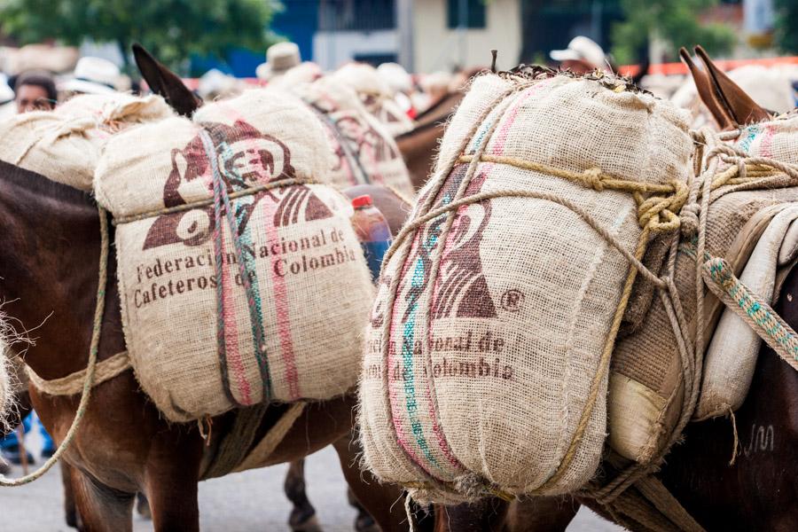 Bultos, Detalle de una Carga Sobre el Lomo de una ...