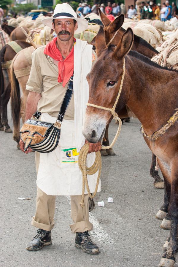 Arriero con Mulas en Antioquia, Colombia