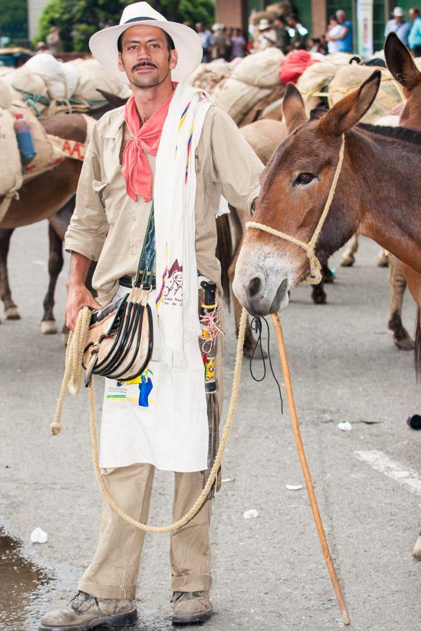 Arriero con Mulas en Antioquia, Colombia