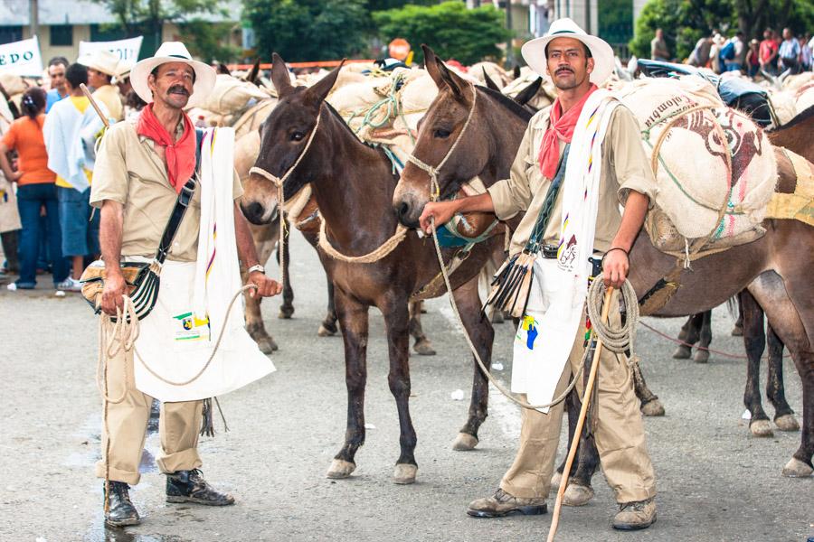 Arrieros con Mulas en Antioquia, Colombia