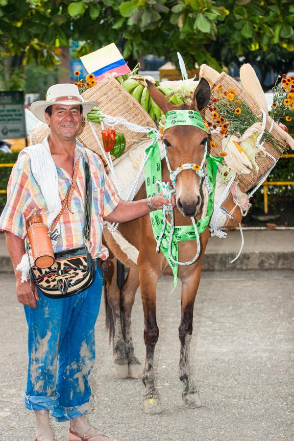 Arriero con Mulas en Antioquia, Colombia