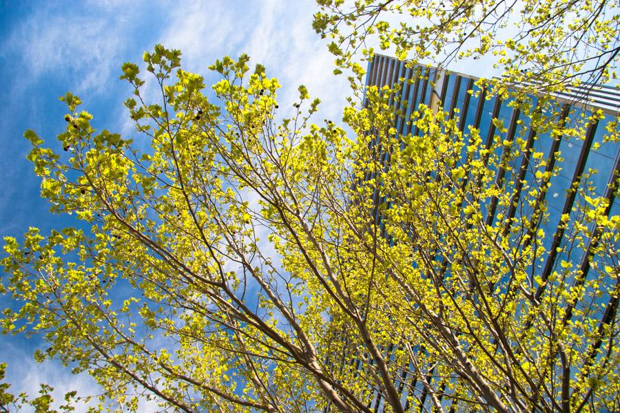 Micro Centro Financiero, Buenos Aires, Argentina, 