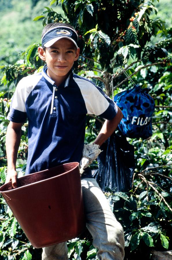 Recolector de Cafe, Colombia 