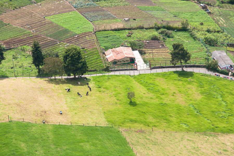 Cultivos agricolas en Antioquia