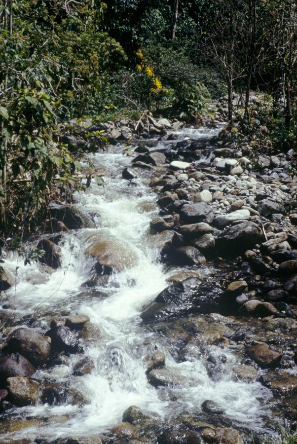 Quebrada Chupaderos en Manizales, Caldas, Colombia