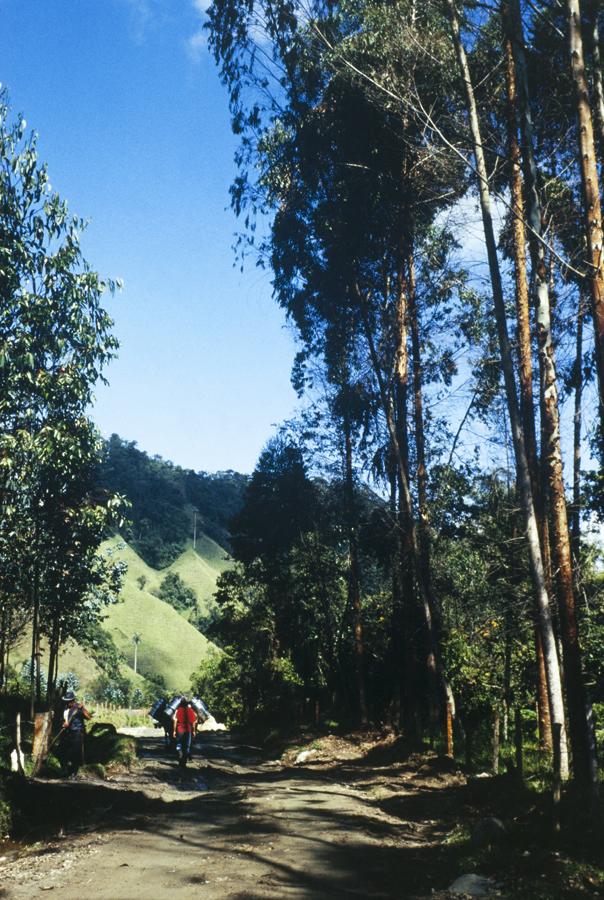 Vereda Chupaderos en Manizales, Caldas, Colombia