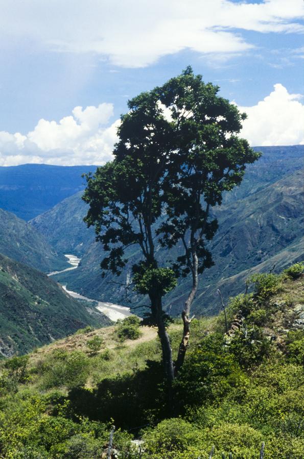 Vista Panoramica del Rio Cauca en Valdivia, Antioq...