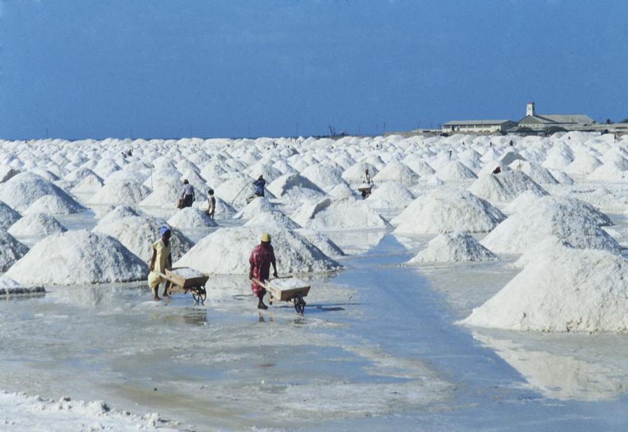 Indigena en las Salinas de Manaure La Guajira, Col...