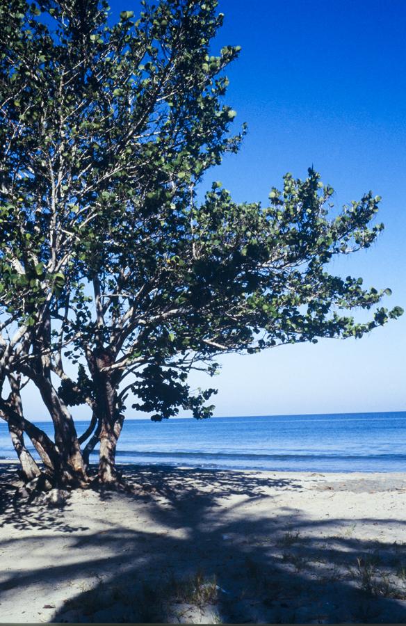 Playa en Coveñas, Sucre, Colombia