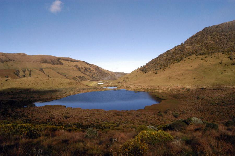 Parque Nacional Natural de los Nevados, Caldas, Co...