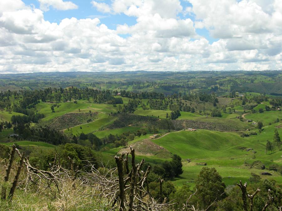 Paisaje en Entrerrios Antioquia Colombia