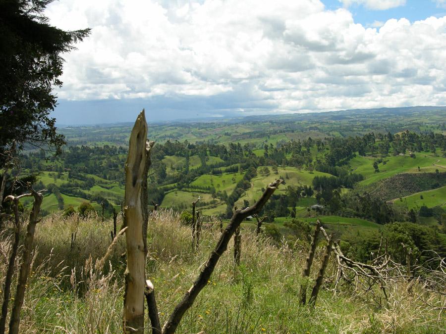 Paisaje en Entrerrios Antioquia Colombia