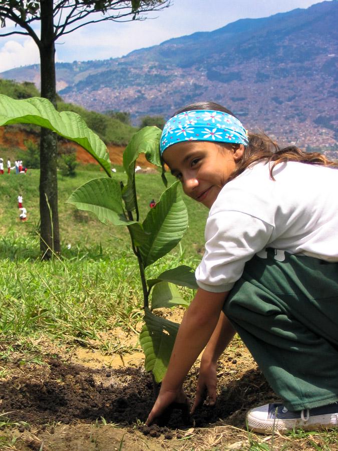 Niña sembrando una planta en Medellin, Antioquia,...