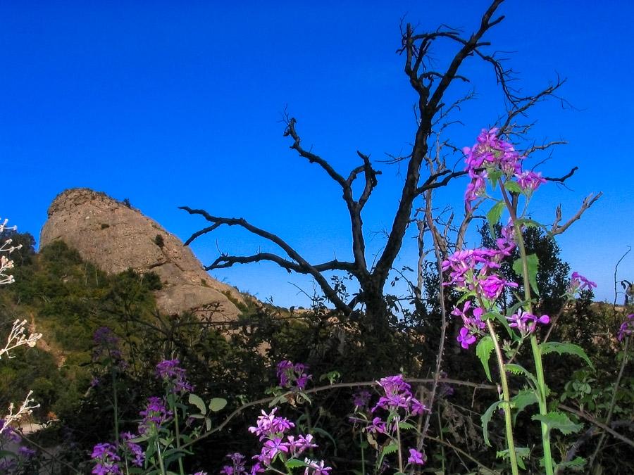 Paisaje desertico