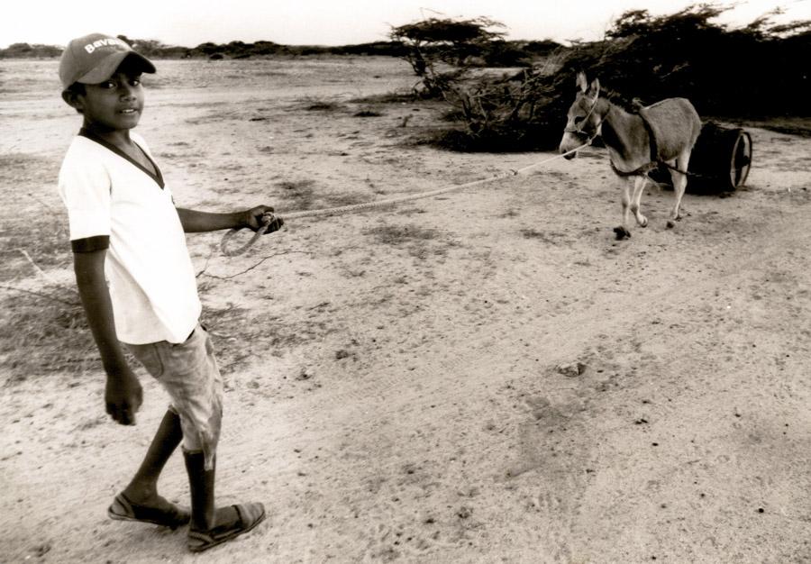 Niño llevando Agua en un burro, La Guajira, Colom...