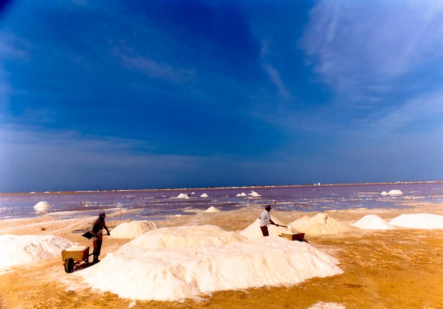 Salinas en La Guajira, Colombia