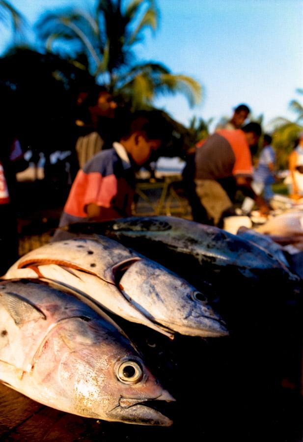 Venta Callejera de pescado en un Mercado de la pla...