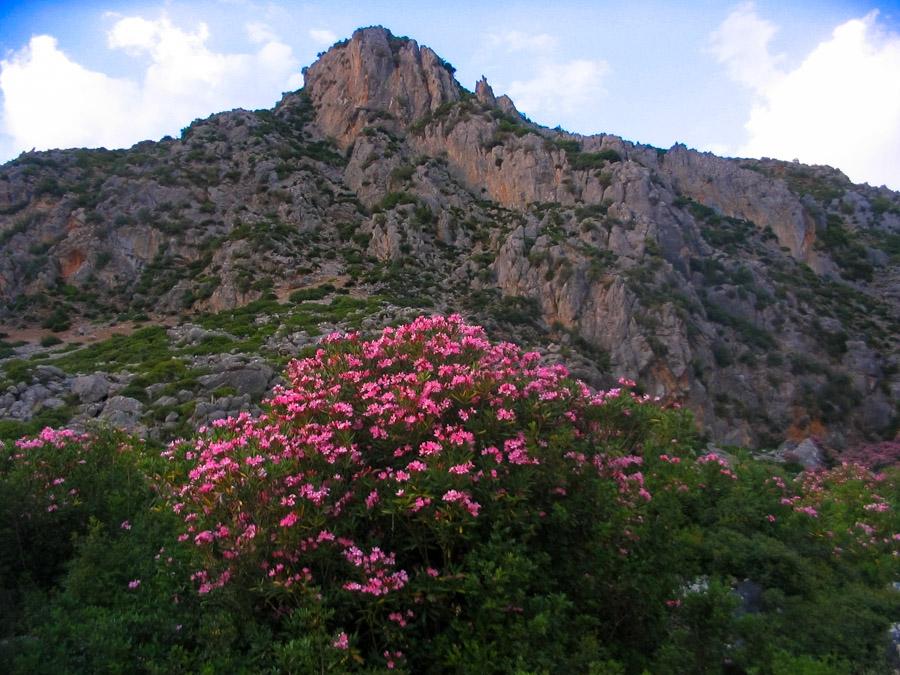 Paisaje Montañoso