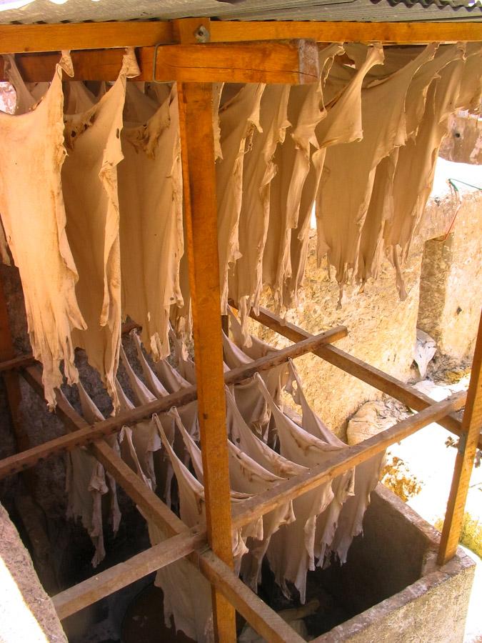 Teñidores de cuero en Fez, Marruecos