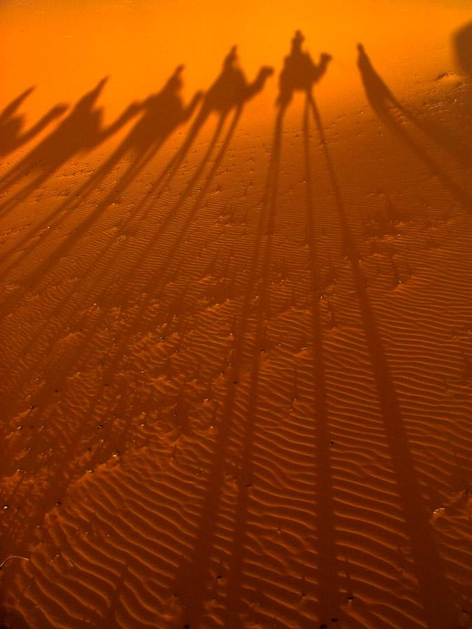 Sombras de una Fila de camellos proyectada sobre l...