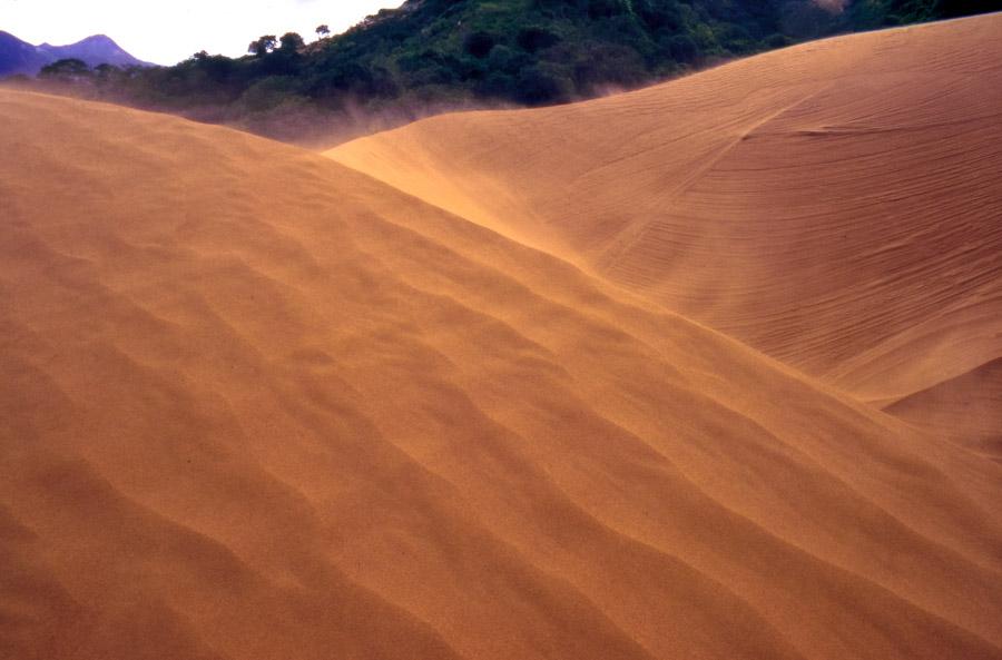 Dunas en el desierto