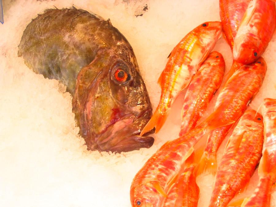 Venta de pescado en el Mercado