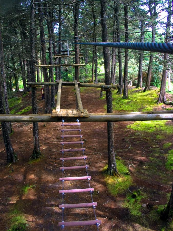 Pista de obstaculos en un Bosque