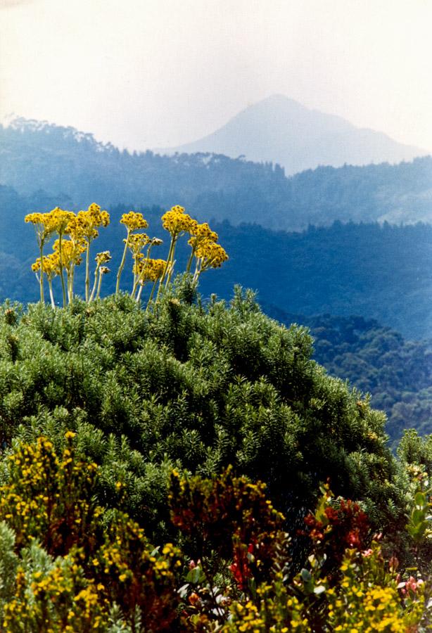 Paisaje montañoso